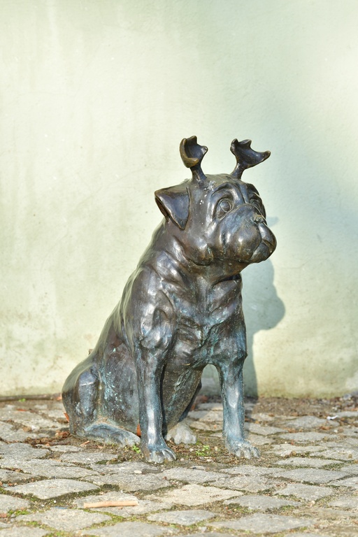 2026-01-08 Brandenburg an der Havel/Waldmöpse/DSC_2286.JPG